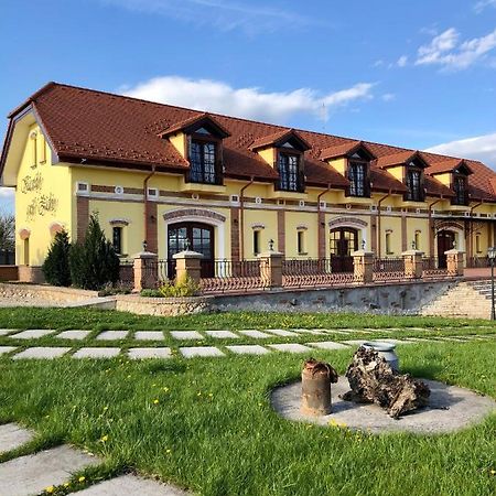 Kastely Grof Zichy Hotel Enyicke Kültér fotó