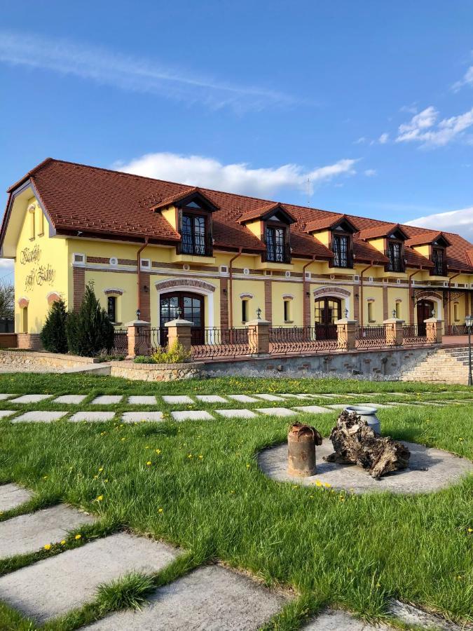 Kastely Grof Zichy Hotel Enyicke Kültér fotó