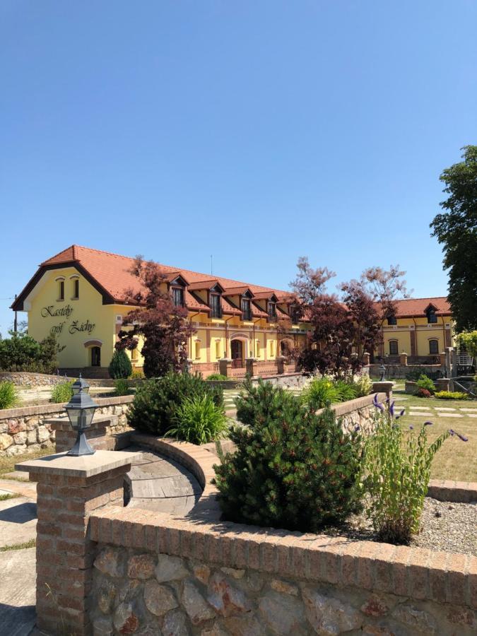 Kastely Grof Zichy Hotel Enyicke Kültér fotó