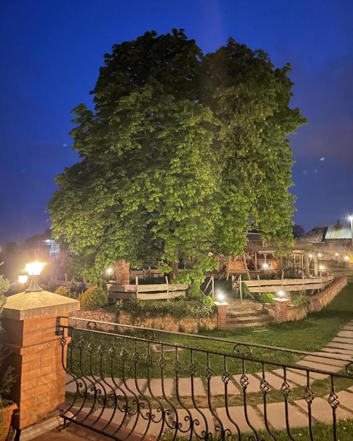 Kastely Grof Zichy Hotel Enyicke Kültér fotó
